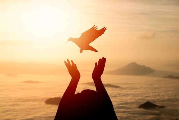 Silhouette betende Frau und freie Vogeltaube, die in den Himmel fliegt und den Sonnenaufgang oder Sonnenuntergang des nebligen Nebelberges auf Naturhintergrund genießt, hofft Religionskonzept