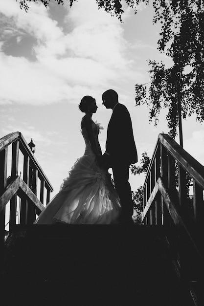 Silhouette der Braut und des Bräutigams in der Natur am Hochzeitstag