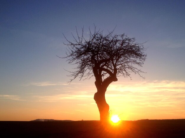 Foto silhouette der landschaft bei sonnenuntergang