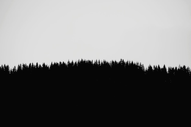 Foto silhouette der landschaft vor klarem himmel