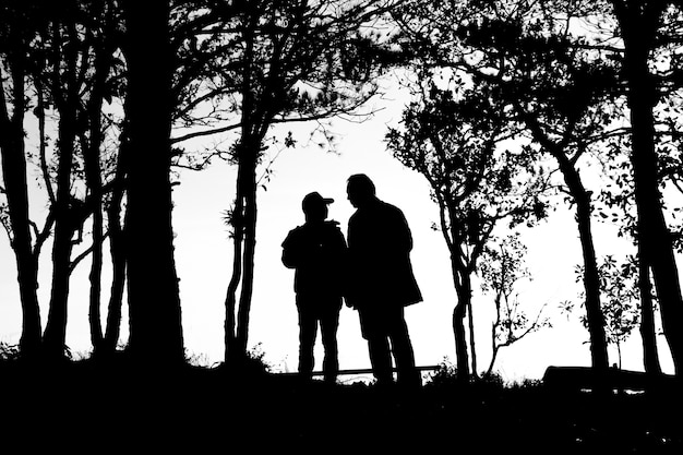 Foto silhouette der liebe paar in den bäumen grenze, zurück und weißer ton