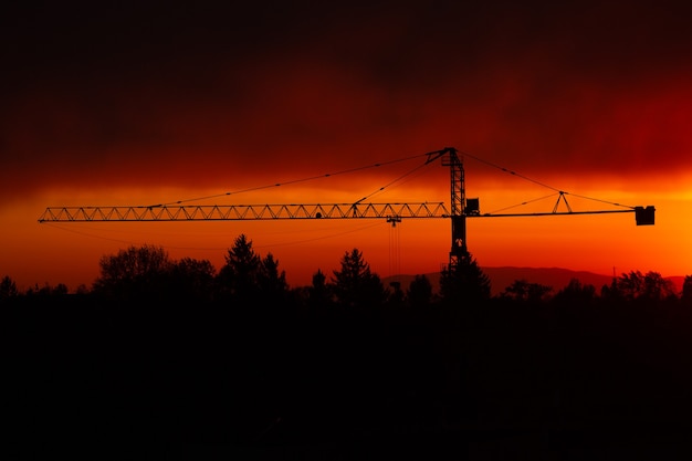 Silhouette des Baukrans teilweise von Bäumen bedeckt zwei Vögel fliegen Silhouette in rotem Sonnenuntergang