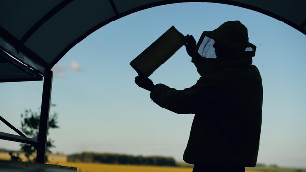 Silhouette des Imkermanns, der Holzrahmen überprüft, bevor er Honig im Bienenhaus erntet