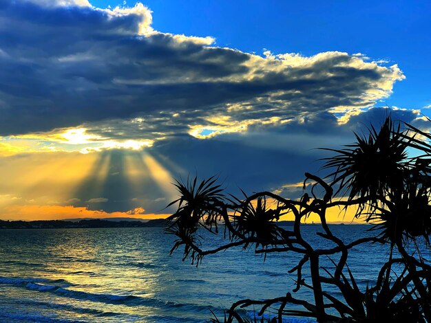 Foto silhouette einer palme am meer gegen den himmel beim sonnenuntergang