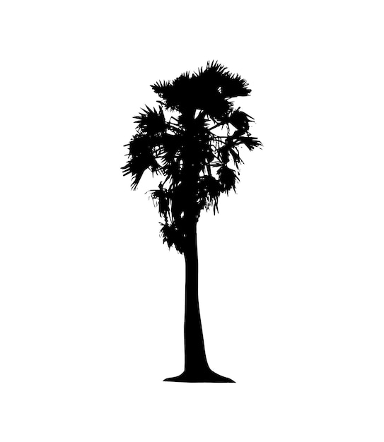 Foto silhouette einer palme auf weißem hintergrund vektorkunst schwarze farbe