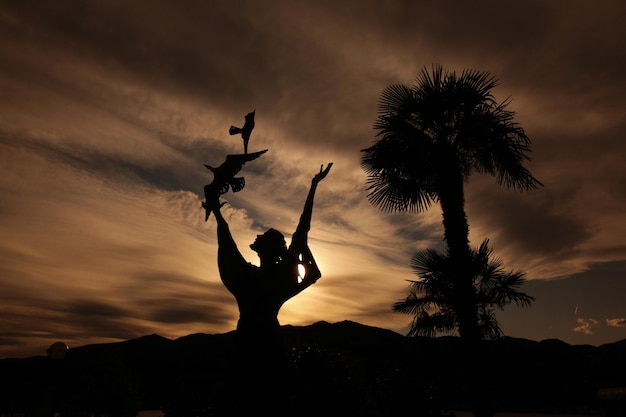Silhouette einer Person mit den Armen, die von Vögeln während des Sonnenuntergangs gegen den Himmel erhoben werden
