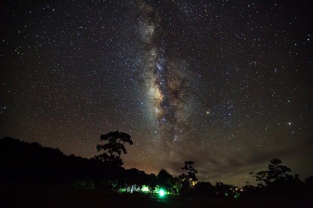 Silhouette eines Baumes mit Wolken und Milchstraße im Phu Hin Rong Kla NationalparkPhitsanulok Thailand Langzeitbelichtung photographwith Korn