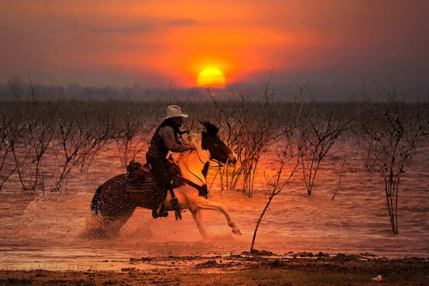 Silhouette eines Cowboys, der auf einem Pferd reitet, das bei Sonnenuntergang hinter einem Berg durch das Wasser watet