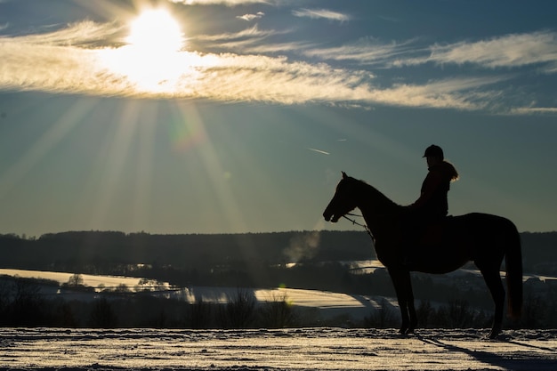 Silhouette eines Mannes auf einem Pferd gegen den Himmel