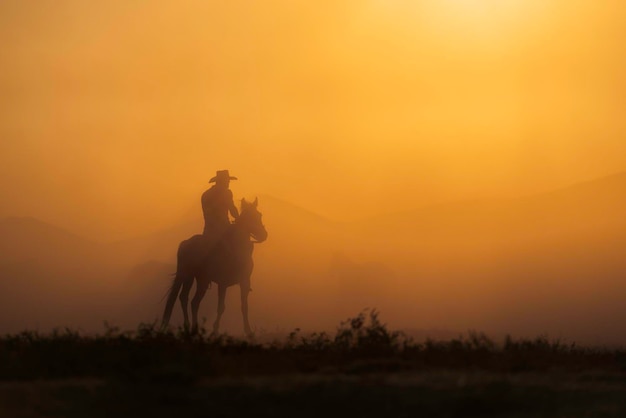 Silhouette eines Mannes, der während des Sonnenuntergangs auf dem Feld auf einem Pferd reitet