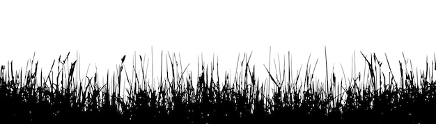 Silhouette Gras abstrakter Hintergrund Natürliches Muster und Kopierraum