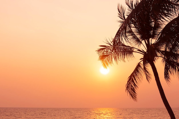 Silhouette Kokospalme auf Meer und Sonnenuntergang Himmelshintergrund