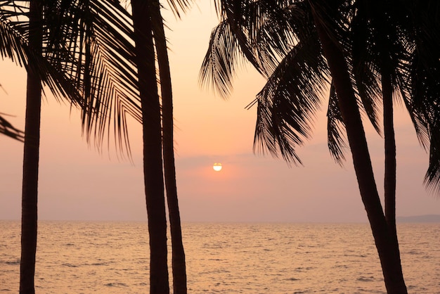 Silhouette Kokospalme auf Meer und Sonnenuntergang Himmelshintergrund