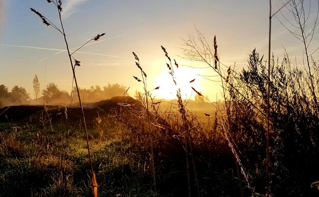 Foto silhouette-landschaft gegen den himmel bei sonnenuntergang