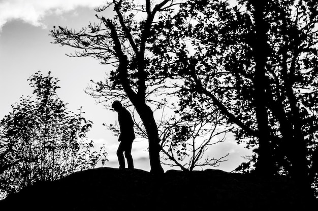 Silhouette Mann auf einem Felsen von Bäumen gegen den Himmel