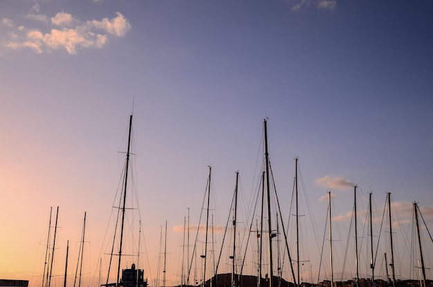 Silhouette-Maste der Segelyacht in einer Marine