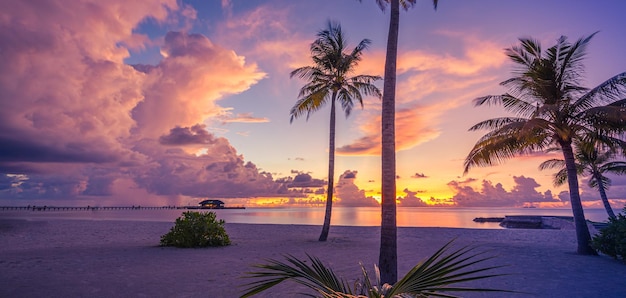 Silhouette Palmen. Schöner Natursonnenuntergang auf tropischem Seestrandhintergrund für Reisefeiertag