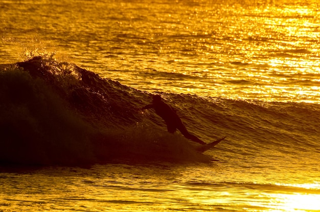 Foto silhouette surfer bei sonnenuntergang in teneriffa kanarische insel spanien