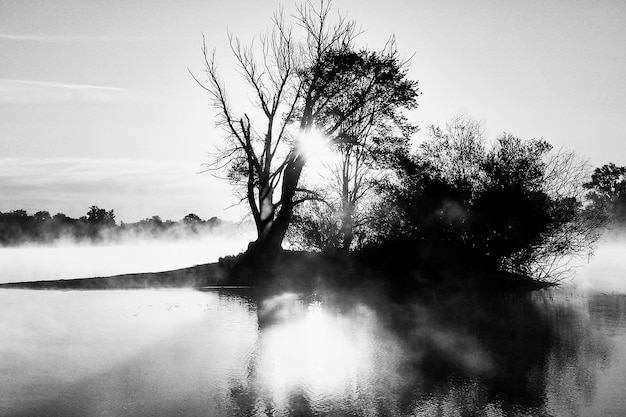 Foto silhouette von bäumen am see gegen den himmel