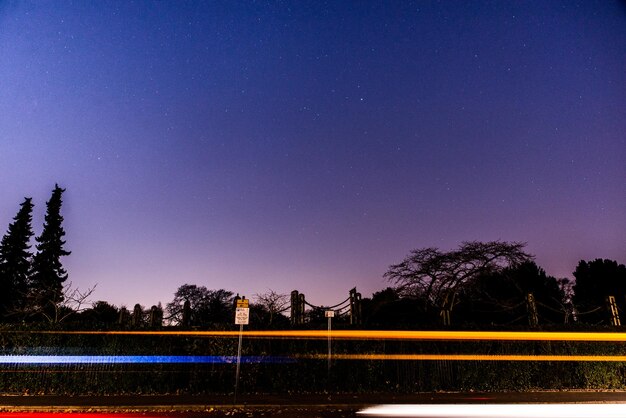 Foto silhouette von bäumen gegen den blauen himmel in der nacht