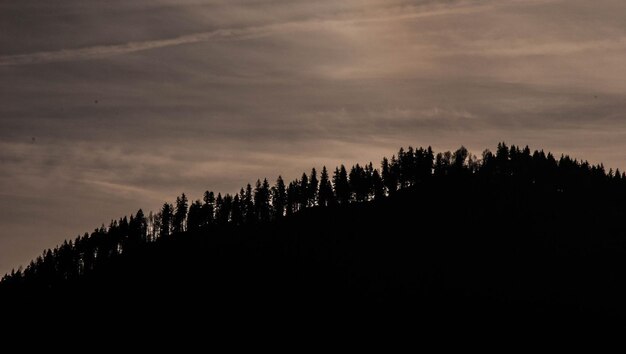 Foto silhouette von bäumen gegen den himmel bei sonnenuntergang