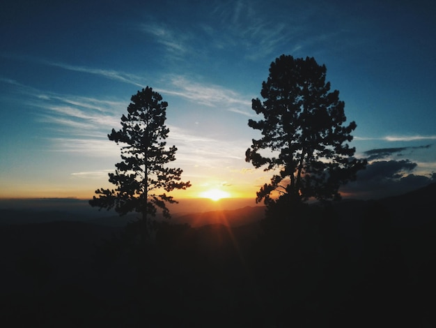 Silhouette von Bäumen gegen den Himmel bei Sonnenuntergang