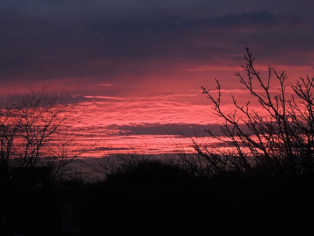 Foto silhouette von bäumen gegen den himmel bei sonnenuntergang