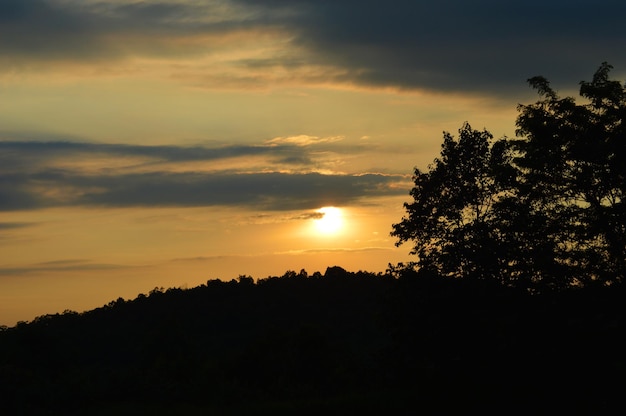 Silhouette von Bäumen gegen den Himmel bei Sonnenuntergang