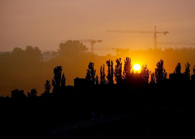 Foto silhouette von bäumen gegen den himmel bei sonnenuntergang