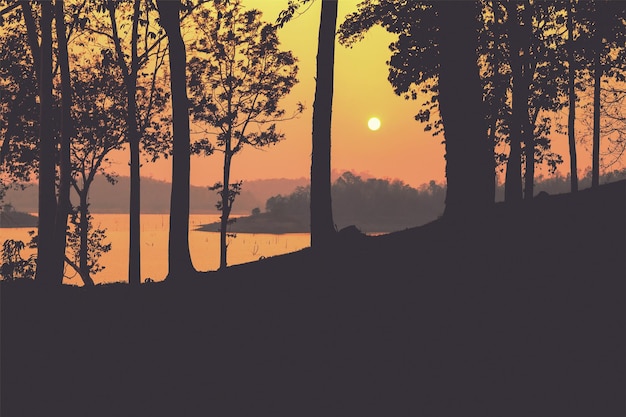 Silhouette von Bäumen gegen den Himmel beim Sonnenuntergang