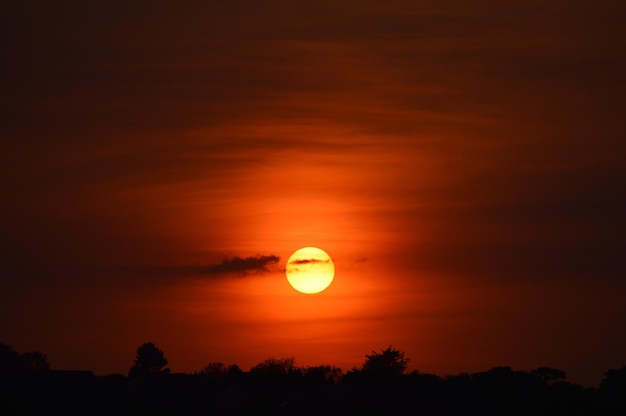 Foto silhouette von bäumen gegen den romantischen himmel bei sonnenuntergang