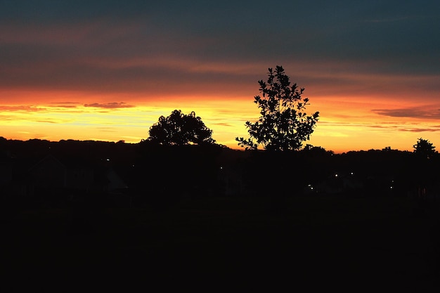 Silhouette von Bäumen und Häusern in der Dämmerung