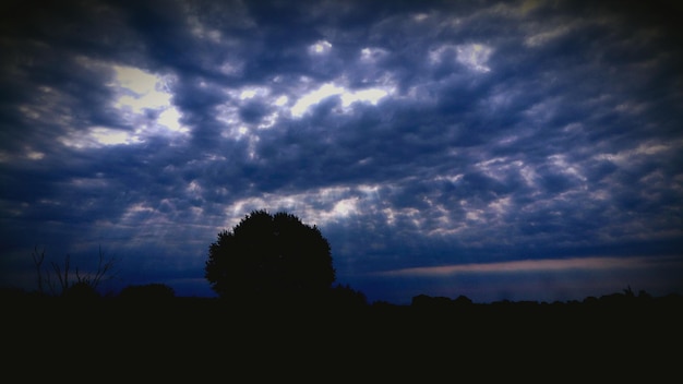 Foto silhouette von bäumen vor einem bewölkten himmel