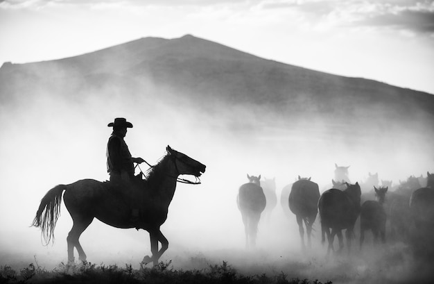 Silhouette von einem mittleren erwachsenen Mann, der auf einem Pferd auf dem Feld gegen den Berg reitet