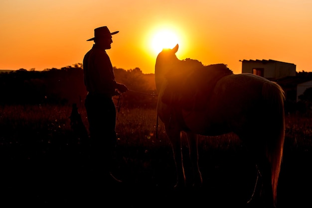 Silhouette von Gaucho mit Pferd auf dem Land bei Sonnenuntergang