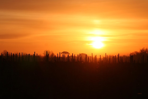 Silhouette von Holzpfosten gegen den Himmel bei Sonnenaufgang