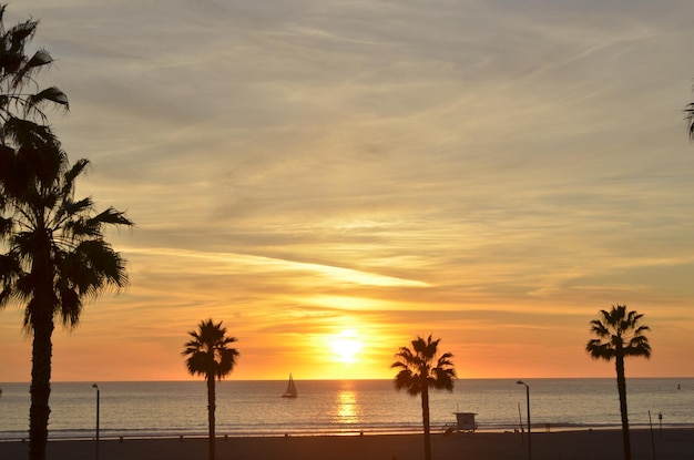 Silhouette von Kokospalmen am Strand gegen den Himmel bei Sonnenuntergang