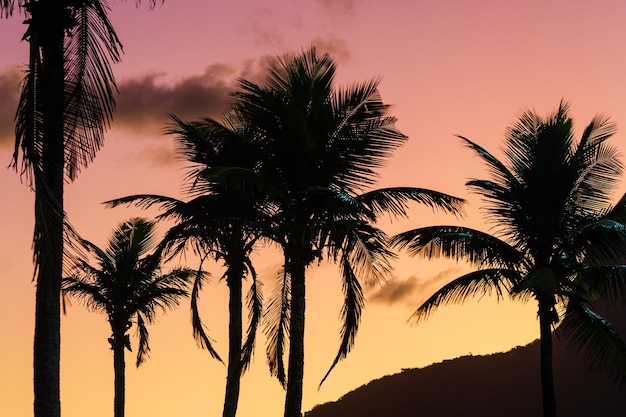 Silhouette von Kokospalmen mit einem wunderschönen Sonnenuntergang im Hintergrund am Strand von Ipanema in Rio de Janeiro Brasilien