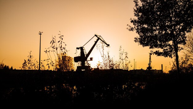 Foto silhouette von kränen auf dem feld gegen den himmel bei sonnenuntergang