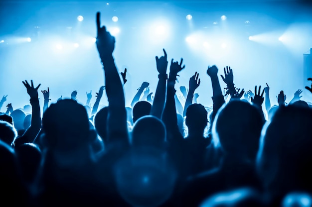 Silhouette von Menschen bei einem Musikkonzert