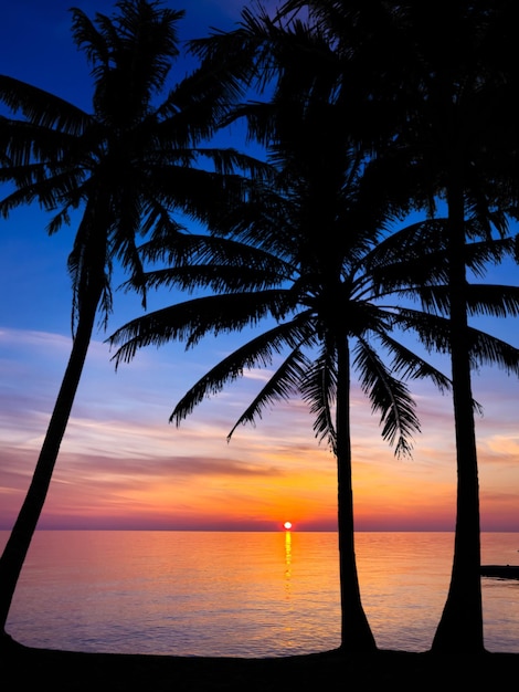 Silhouette von Palmen Schöner Sonnenuntergang am tropischen Meeresstrand