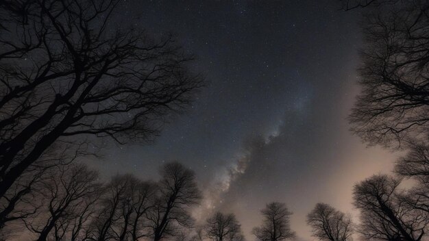 Silhouette-Wald mit Galaxie-Hintergrund