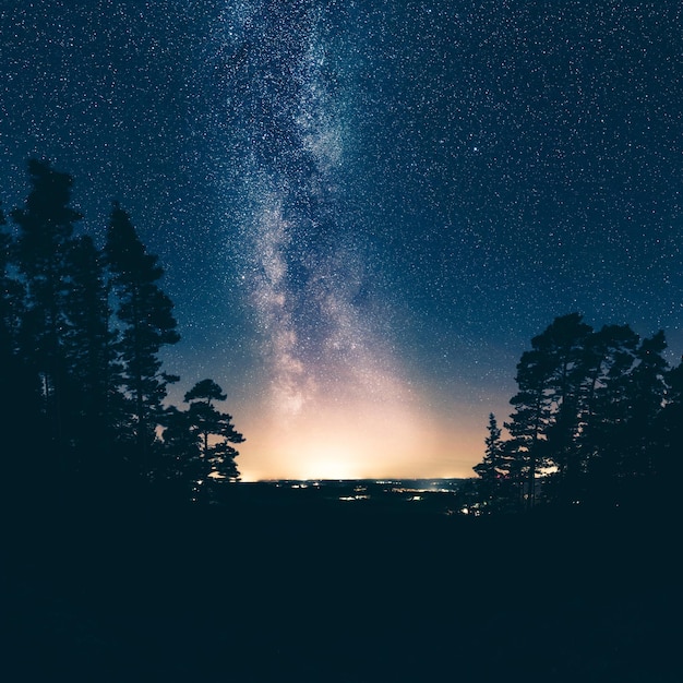 Silhouetten von Bäumen auf dem Feld gegen das Sternenfeld in der Nacht