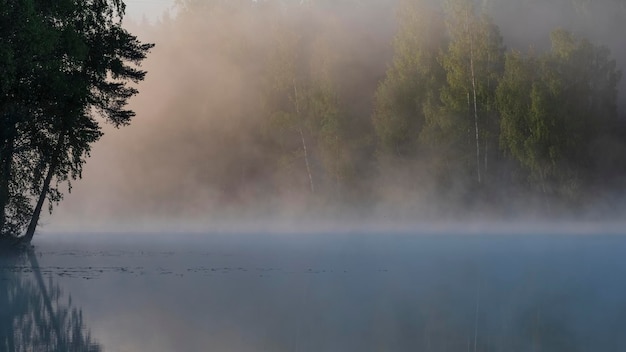 Silhouetten von Bäumen auf dem Hintergrund eines nebligen Sees am frühen Morgen