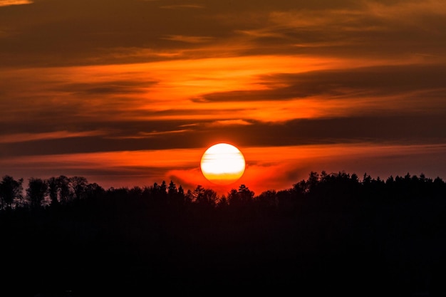Silhouetten von Bäumen gegen den orangefarbenen Himmel