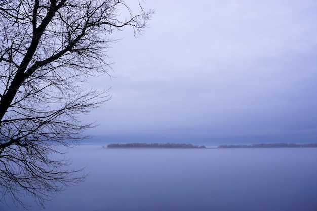 Silhouetten von Bäumen vor einem dunstigen Himmel im zeitigen Frühjahr