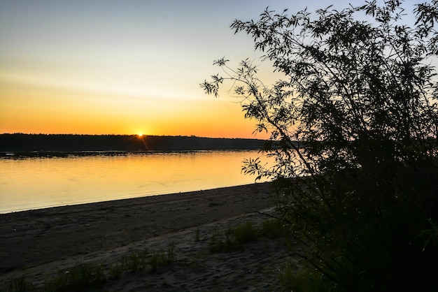 Silhouetten von Büschen gegen den Sonnenuntergangshimmel