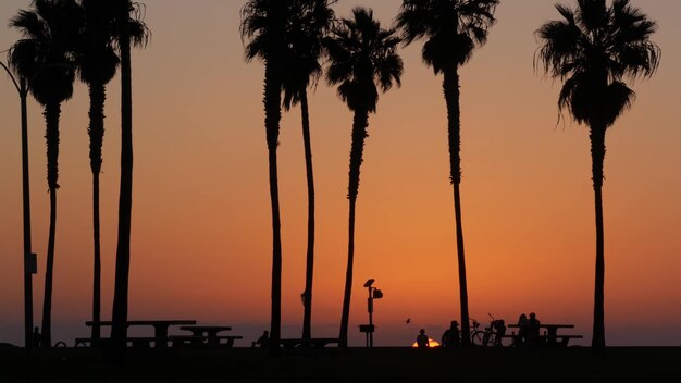 Silhouetten von Menschen und Palmen am Strand bei Sonnenuntergang an der kalifornischen Küste der USA