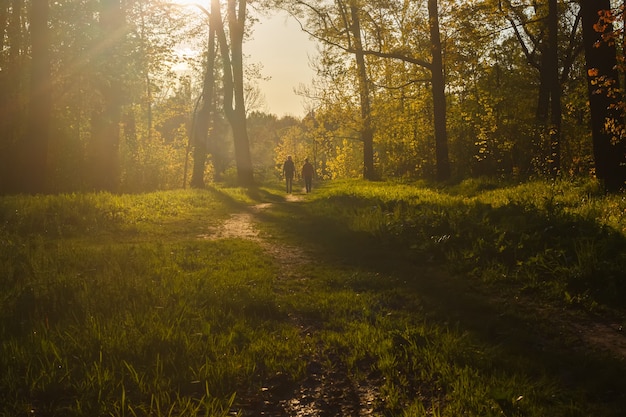 Silhouetten von zwei Personen auf einem Weg im Park