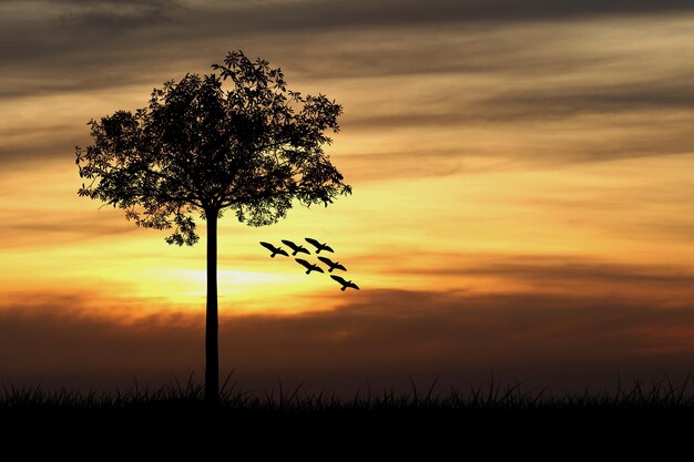 Silhueta de árbol en el campo contra el cielo dramático durante la puesta de sol